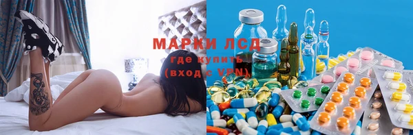 индика Баксан